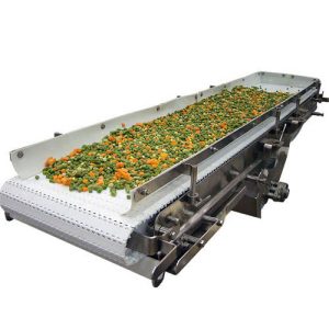 Băng tải thực phẩm
